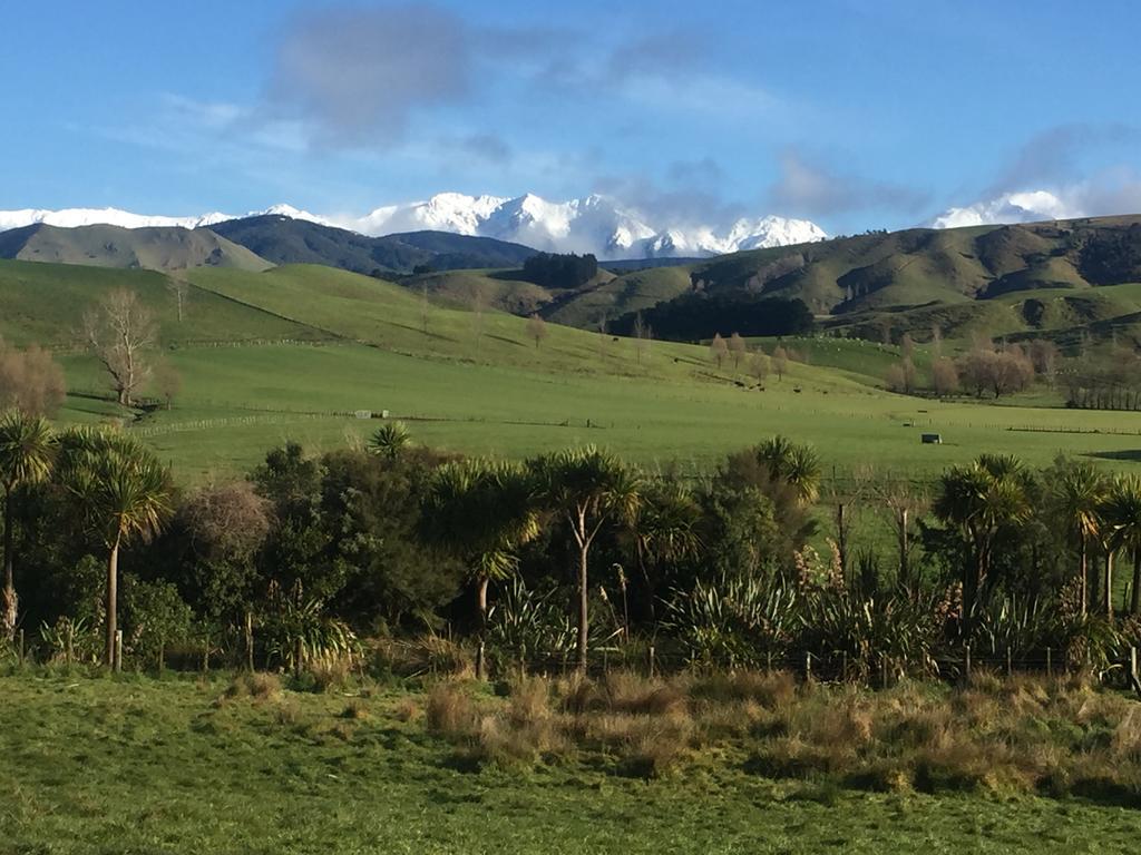 Fallow Hut Masterton Bagian luar foto